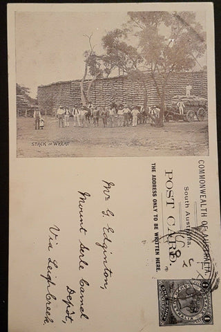 SA South Australia Australian States 1909 Postcard Stack of Wheat horses cart