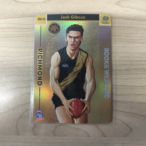 2023 AFL TEAMCOACH GALLERY WILDCARD DUSTIN MARTIN GW-14 RICHMOND TIGERS