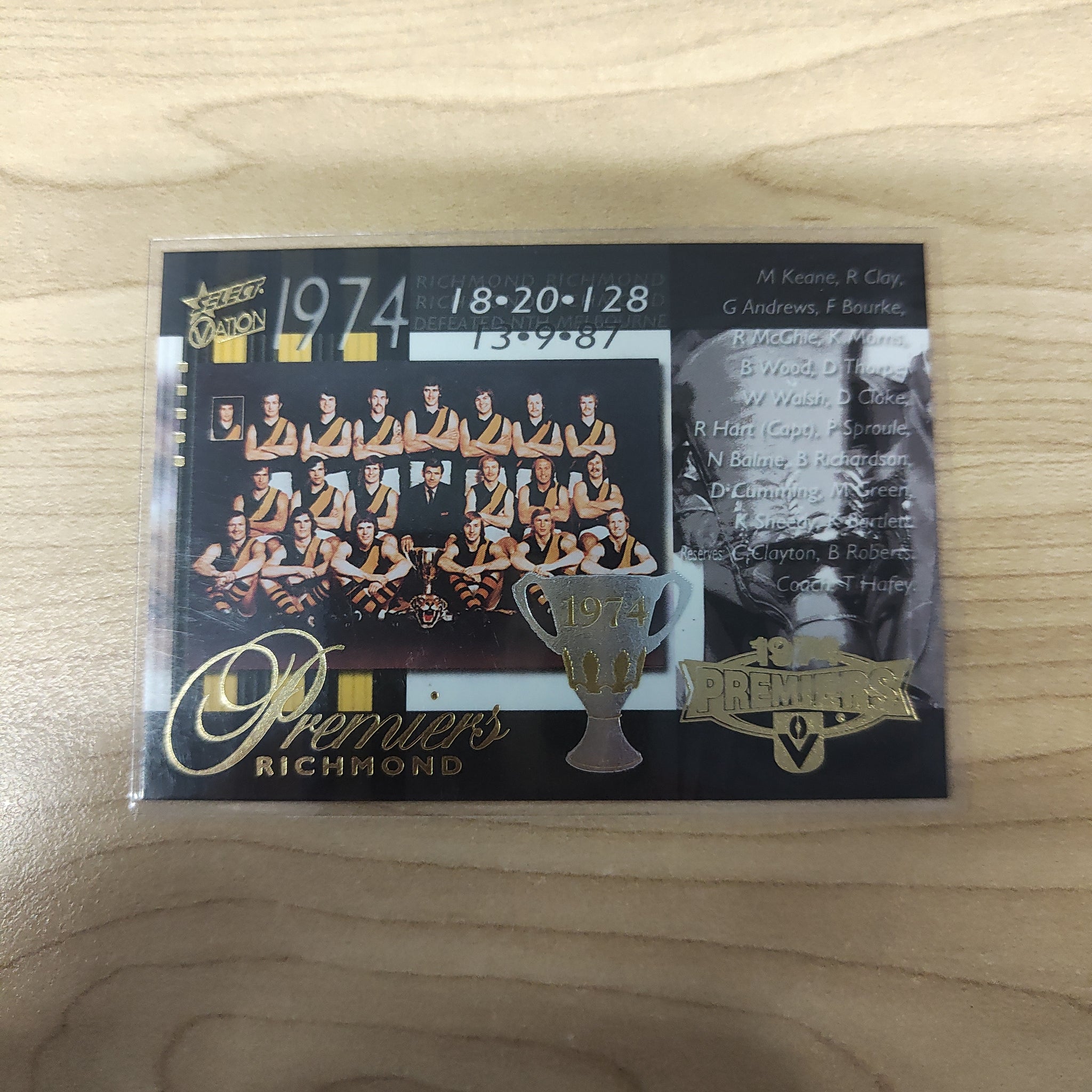 2004 Select Ovation 1974 Premiers Richmond No.213