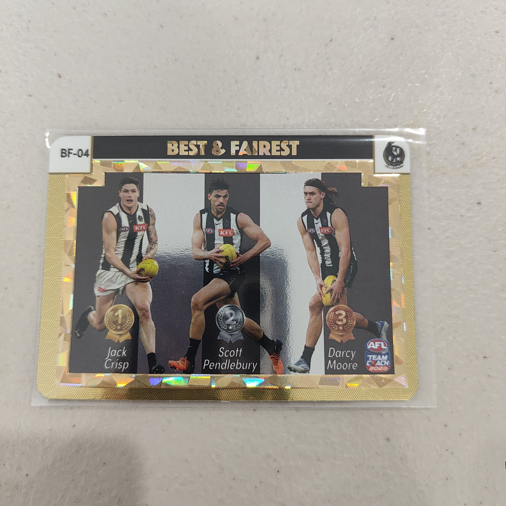 2023 Teamcoach Gold Best & Fairest Collingwood BF-04
