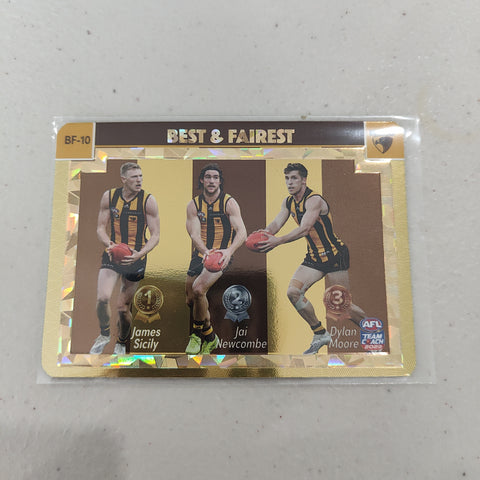 2023 Teamcoach Gold Best & Fairest Hawthorn BF-10