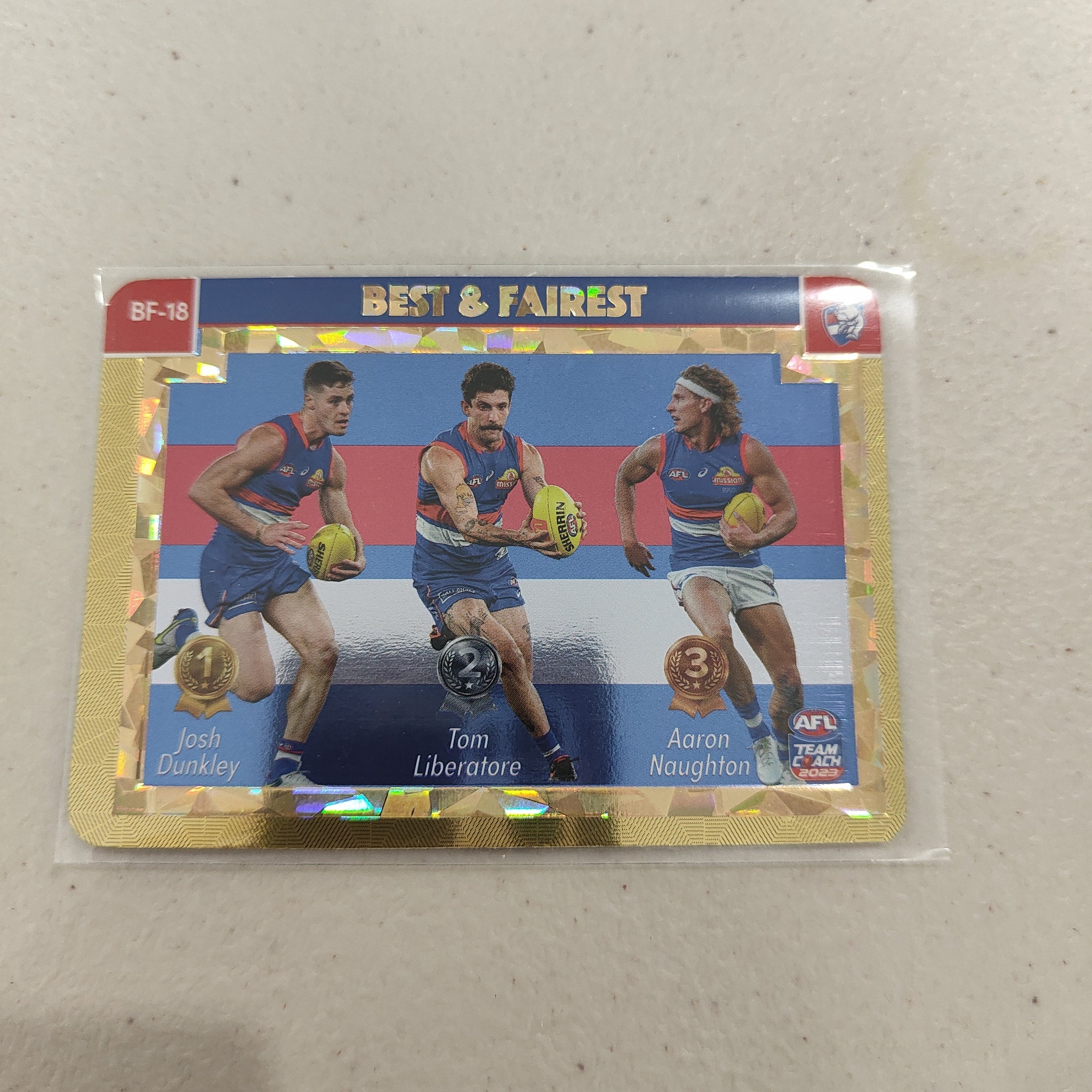 2023 Teamcoach Gold Best & Fairest Western Bulldogs BF-18