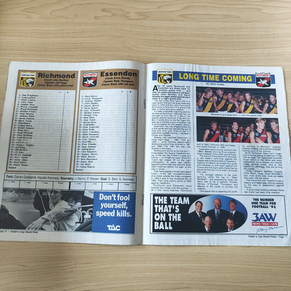 AFL 1993 March 20 Foster's Cup Grand Final Football Record Richmond v Essendon