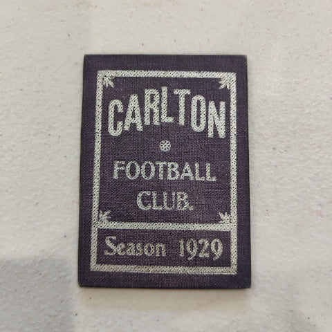 VFL 1929 Carlton Football Club Membership Season Ticket No.5173
