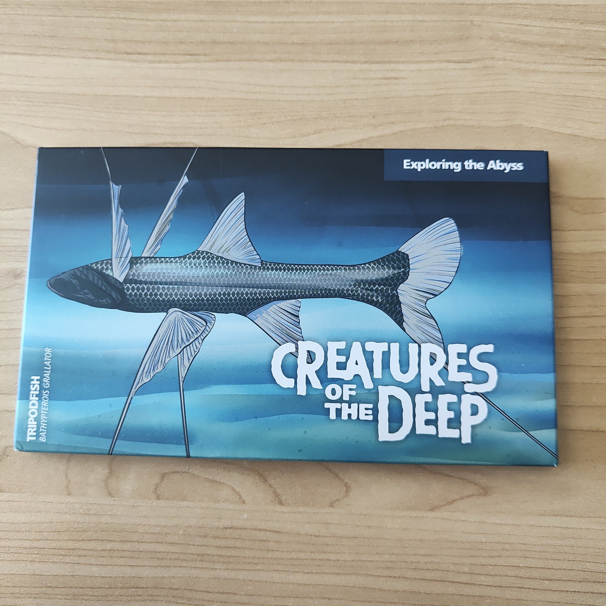 2023 RAM $1 Creatures of the Deep Tripodfish Four Coin Mintmark & Privy Mark Uncirculated Set