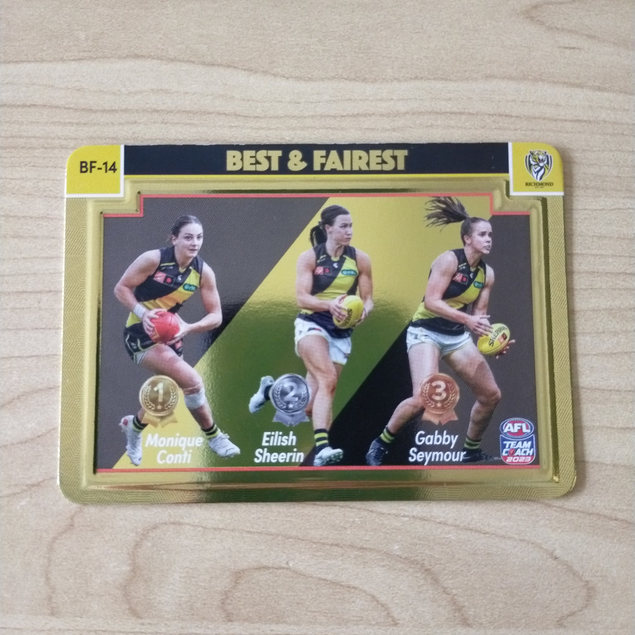 2023 Teamcoach AFLW Gold Best & Fairest Richmond BF-14