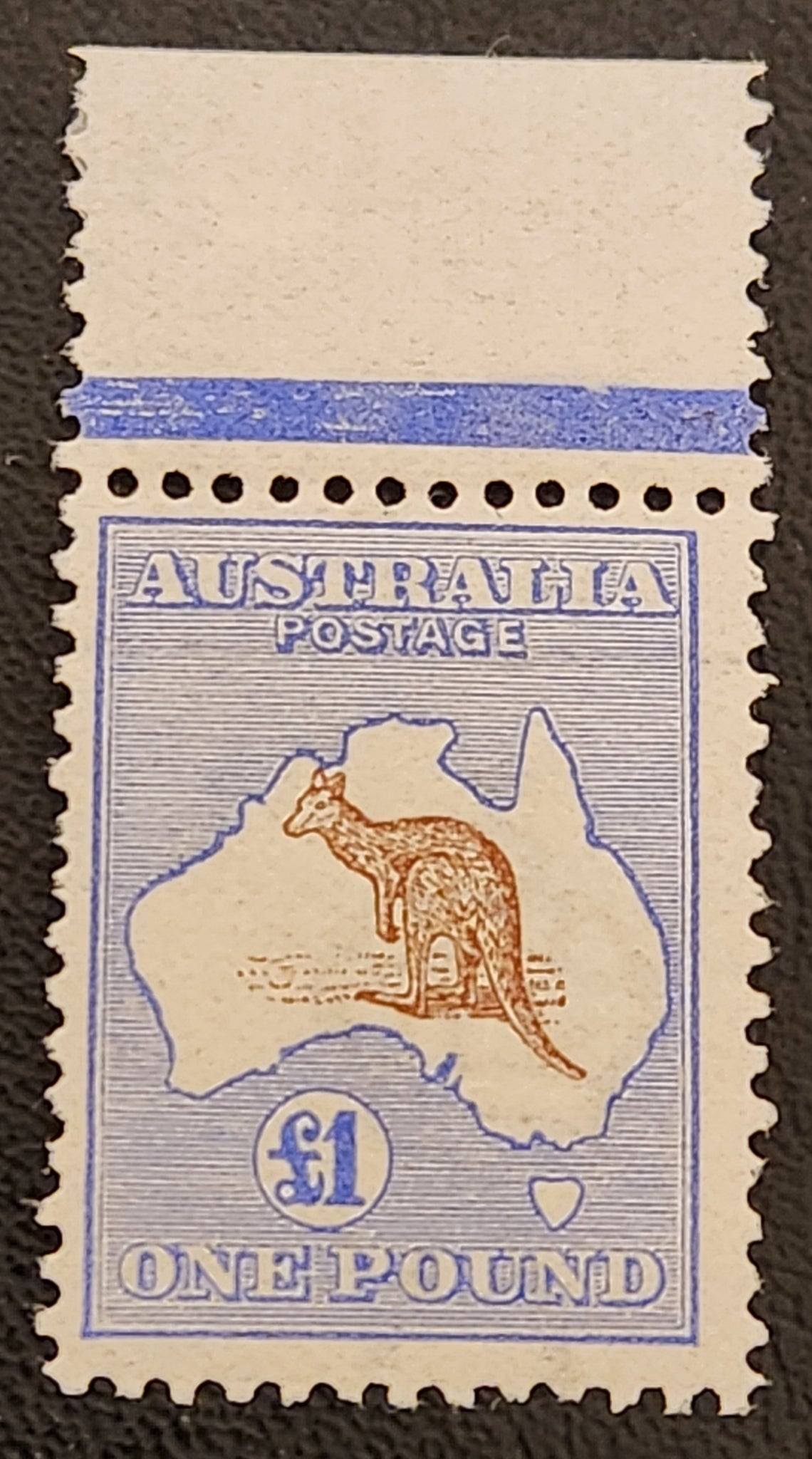 Australia SG 15 £1 Brown & Blue Kangaroo MUH