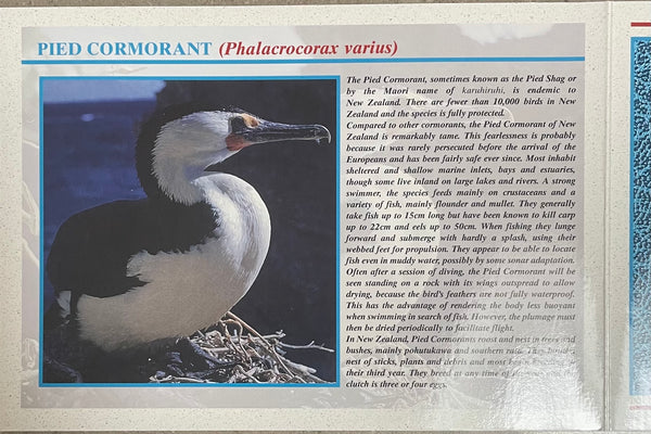 2000 New Zealand Brilliant Uncirculated Coin Set