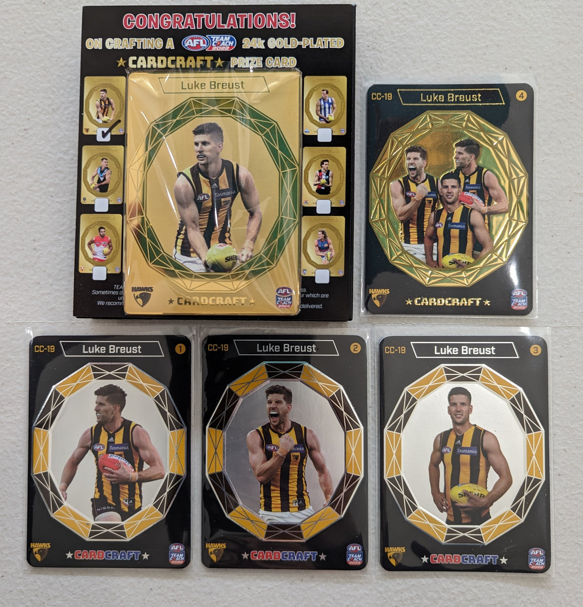 2022 AFL Teamcoach Gold Card Craft Set Luke Breust Hawthorn – Shields ...