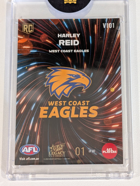 The One AFL Pack