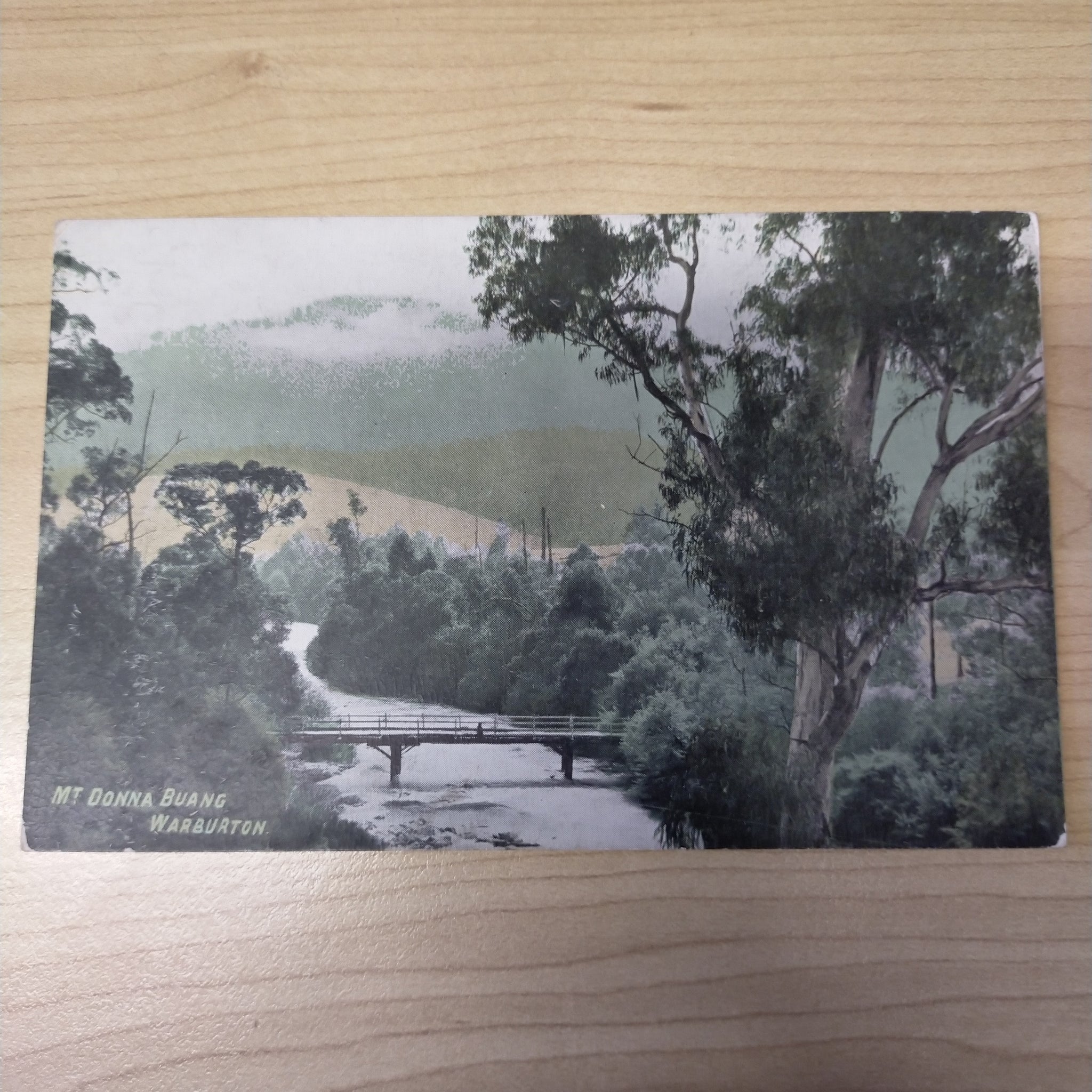 Australian Victorian Railways Tourist Series Mt Donna Buang Warburton Postcard