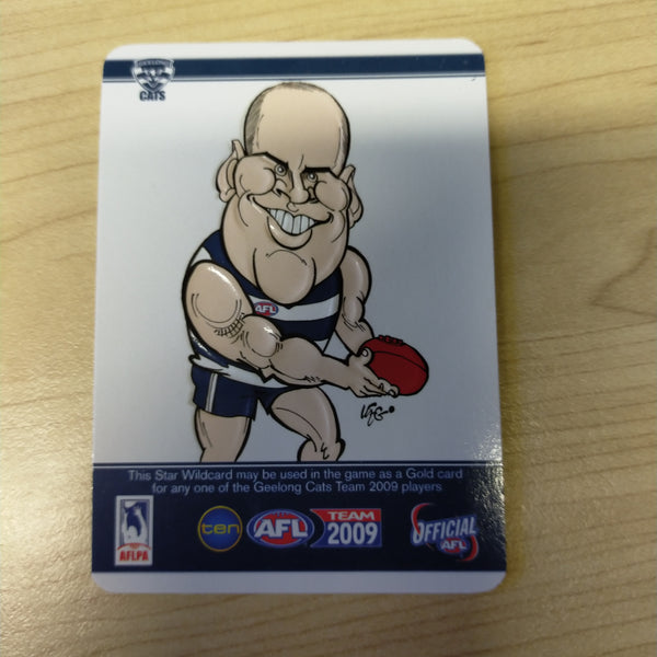 2009 Teamcoach Star Wildcard Paul Chapman Geelong SW-07