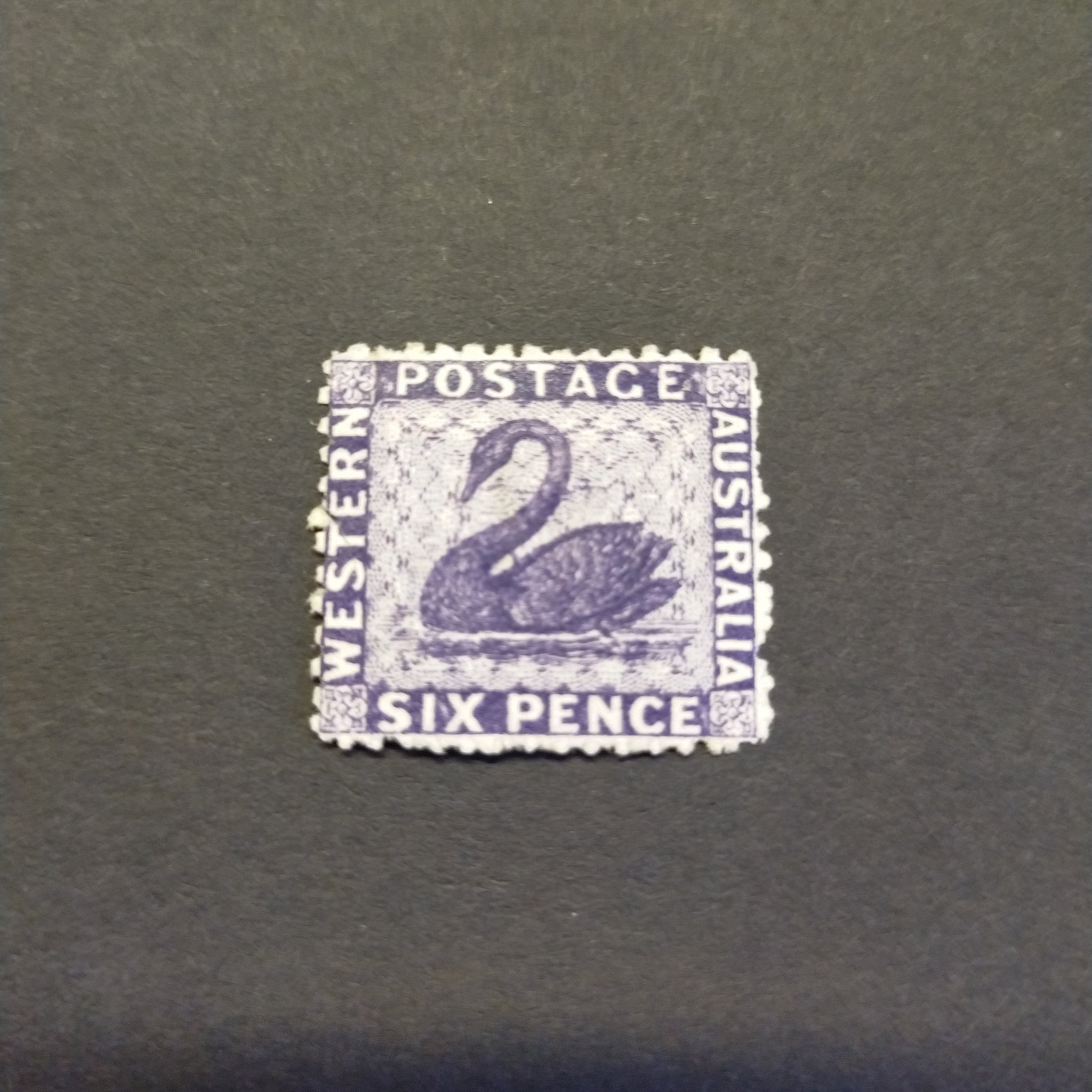 Western Australia SG 57 1865 6d Violet Fresh Mint Stamp