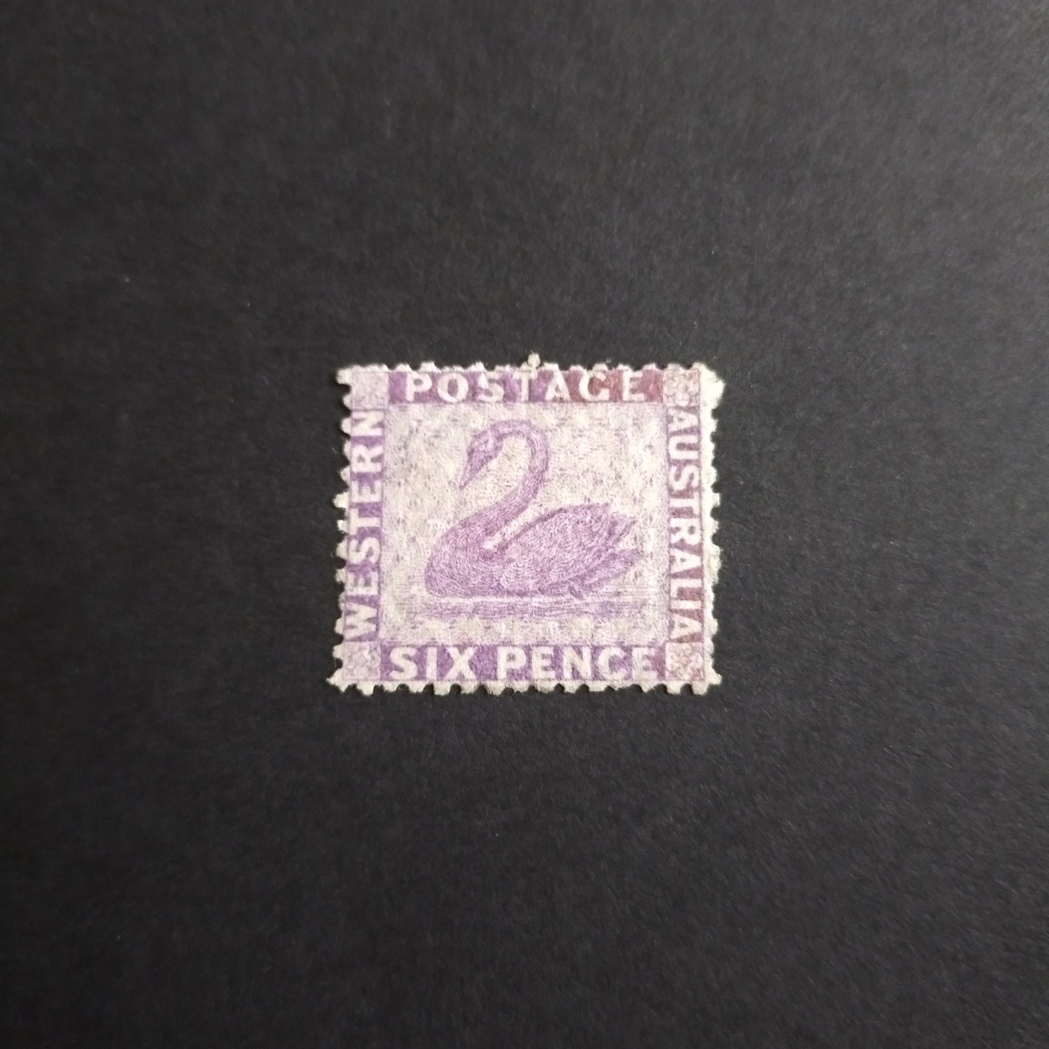Western Australia SG 59 1872 6d Lilac Swan Stamp Mint Hinged Well Centered