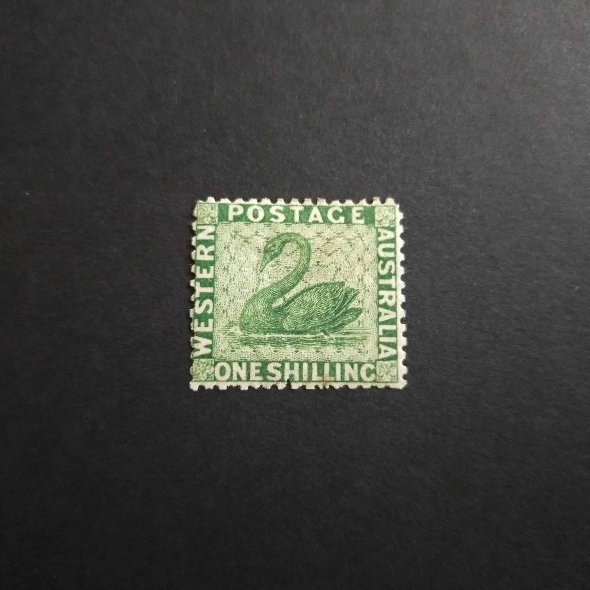 Western Australia SG 61 1865 1/- Bright Green Swan Mint Stamp