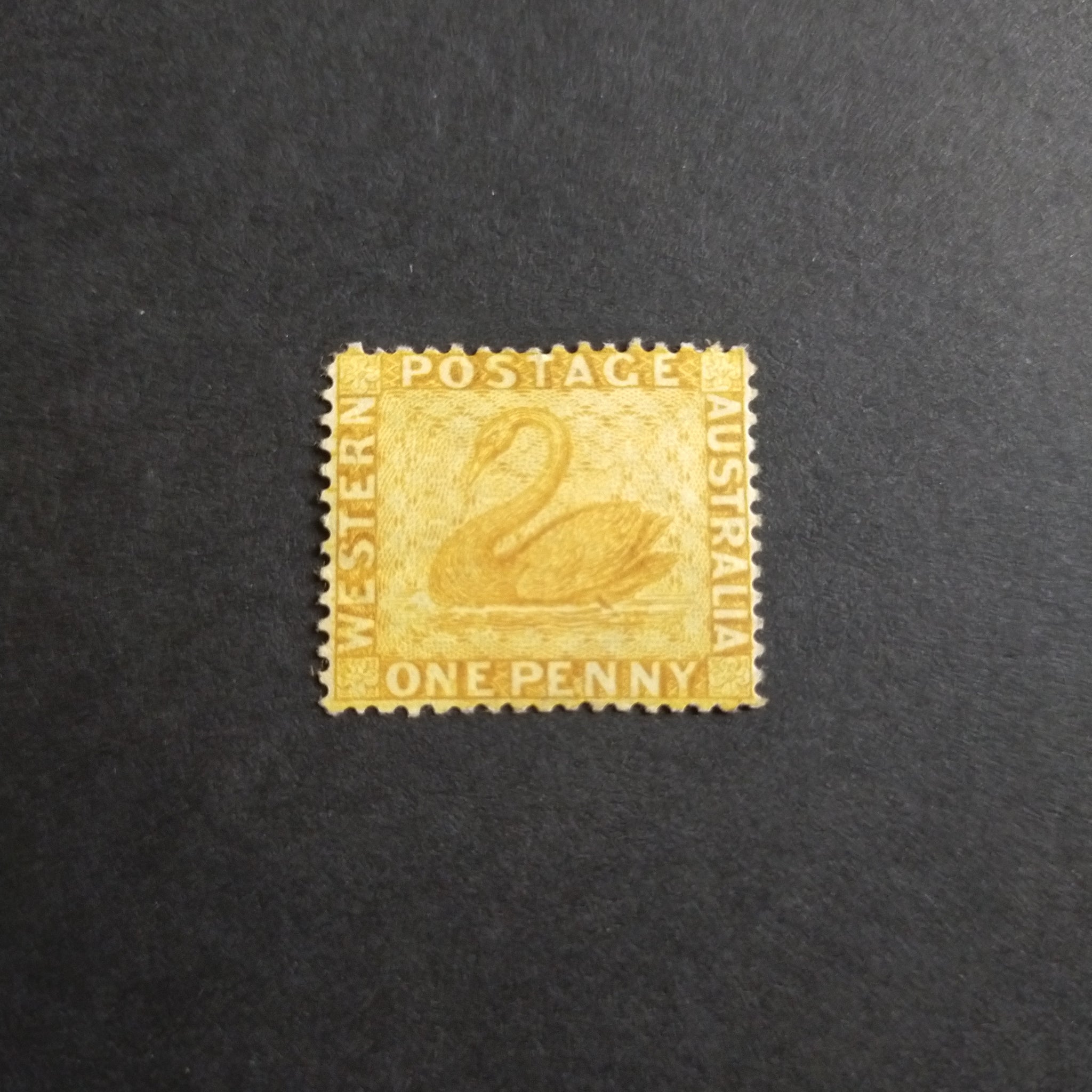 Western Australia SG 68 1876/79 1d Ochre Swan Stamp Mint