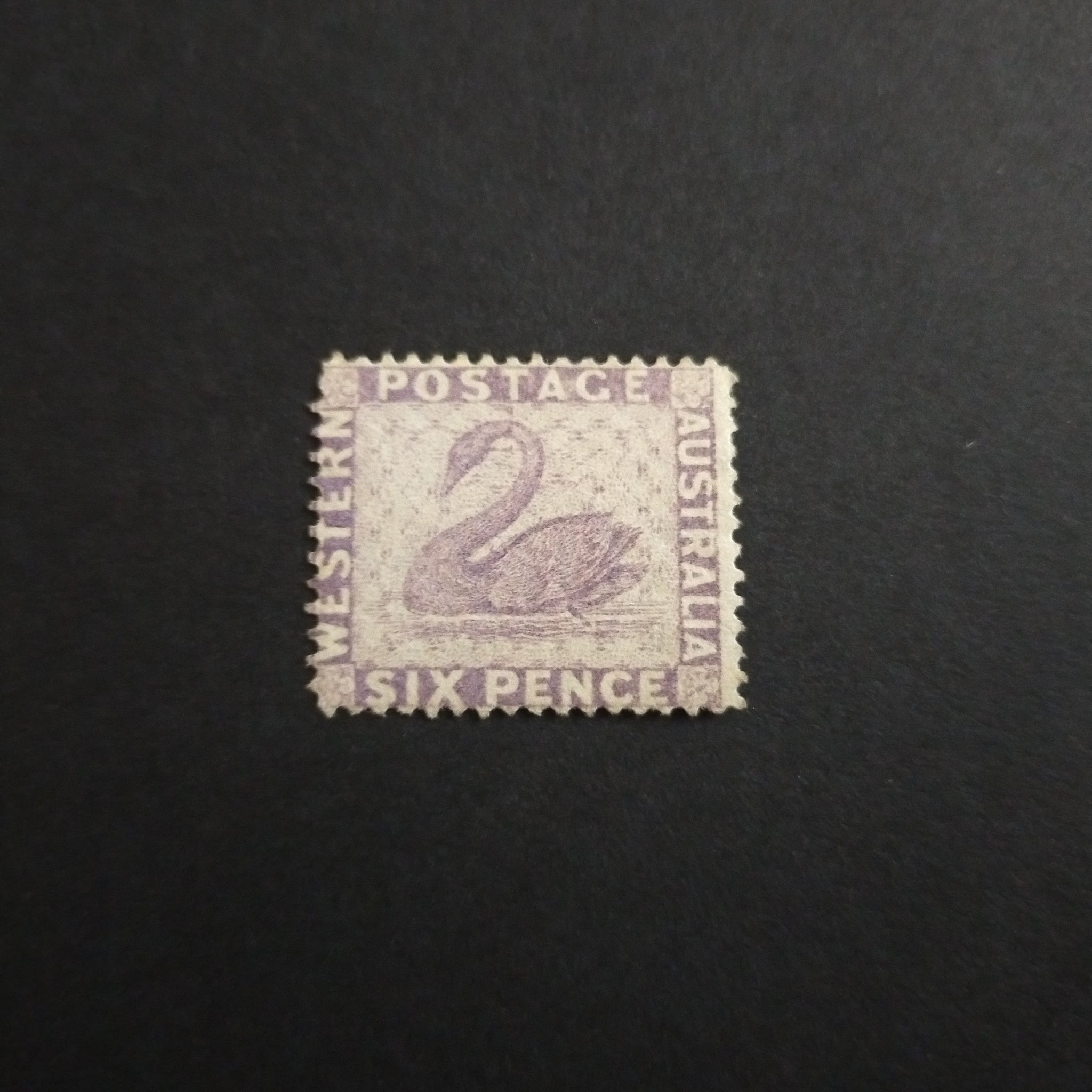 Western Australia SG 75 1877 6d Lilac Swan Stamp Unused With Minimal Original Gum