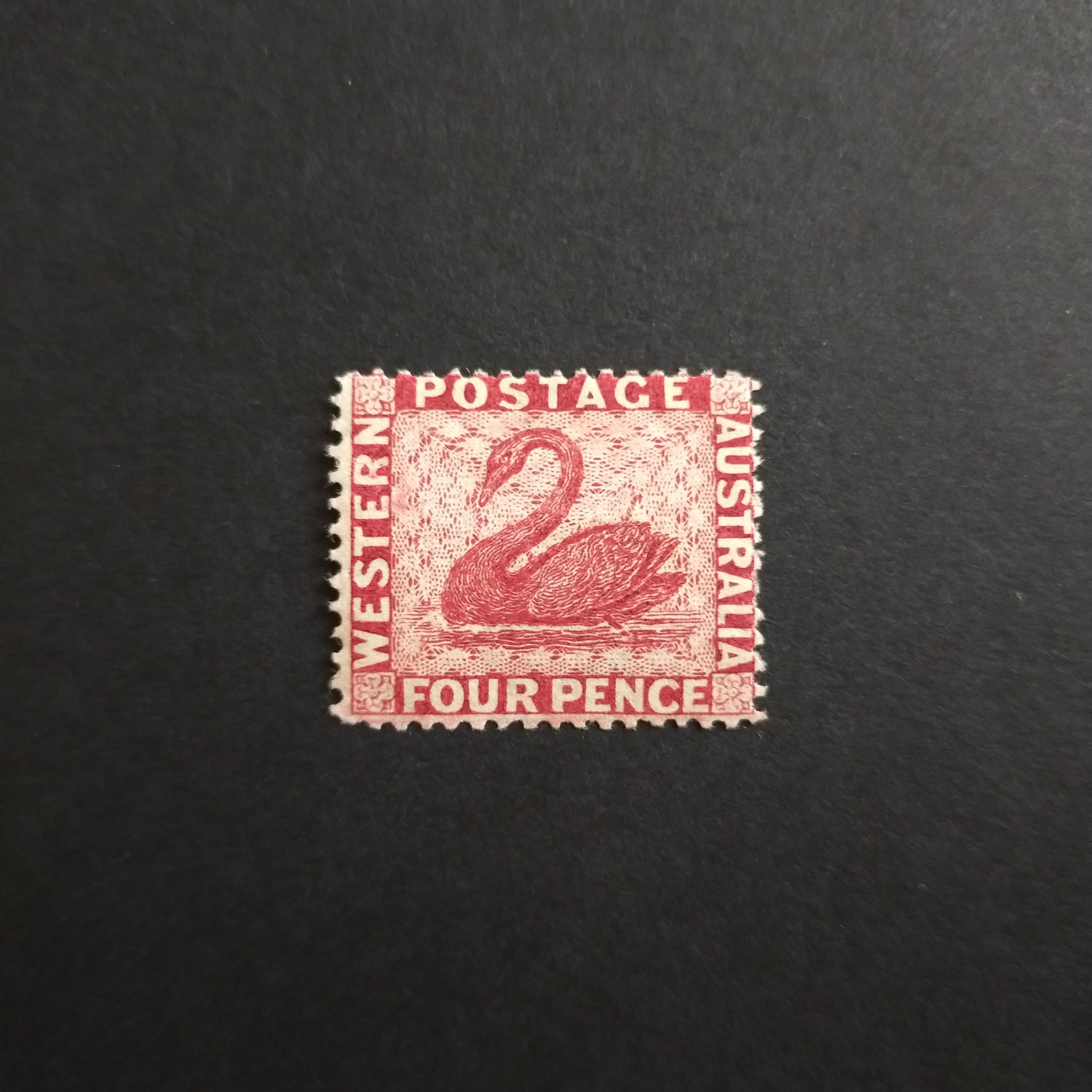 Western Australia SG 78 1882 4d Carmine Swan Stamp Fine Mint Unhinged