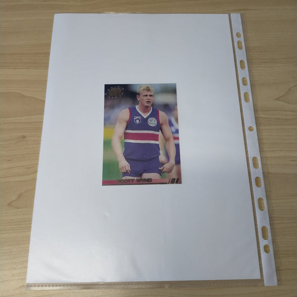 Lot of 6 AFL VFL Western Bulldogs Footscray Player Signatures