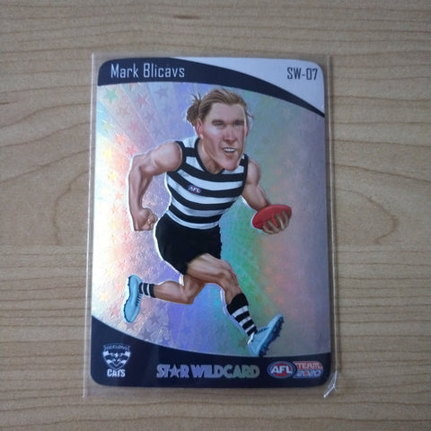 2020 Teamcoach Star Wildcard Mark Blicavs Geelong