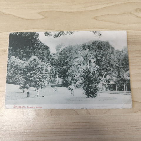 Malaya Strait Settlements Singapore Botanical Garden George V 3c 1915 Postcard