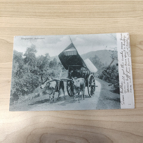 Malaya Straits Settlements Bullockart 3c King Edward 1908 Postcard To Scotland