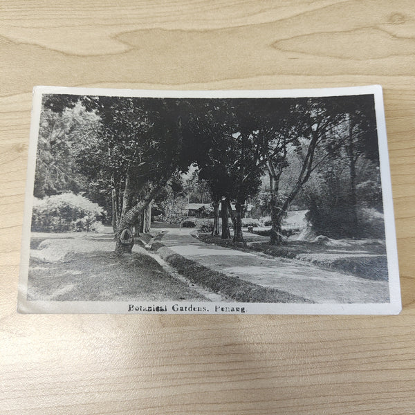 Malaya Strait Settlements Singapore Botanical Gardens Penang 1951 King George VI 10c Postcard To USA Postage Due
