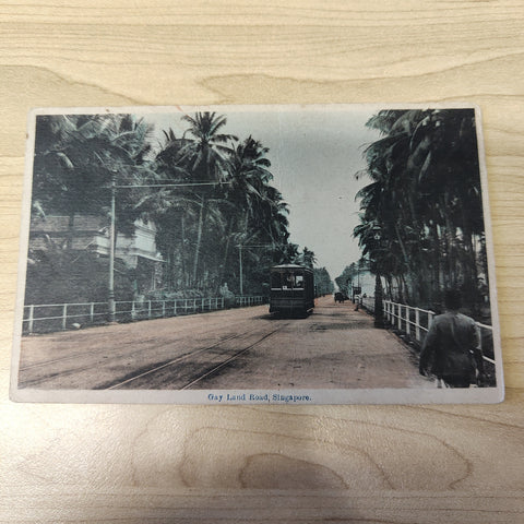 Malaya Strait Settlements Singapore Gay Land Road Postcard