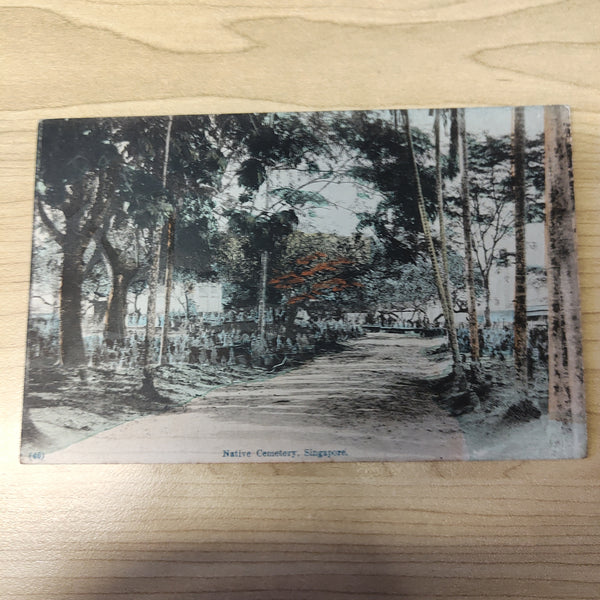 Malaya Strait Settlements Singapore Native Cemetery Postcard