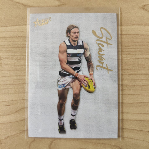 2022 AFL Footy Stars Blank Canvas Tom Stewart Geelong 213/250