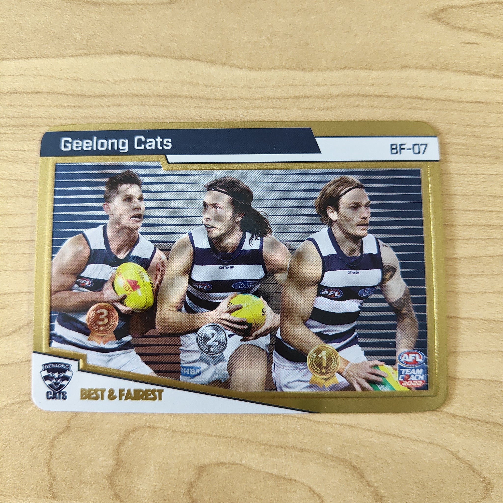 2022 Teamcoach Gold Best & Fairest Geelong BF-07