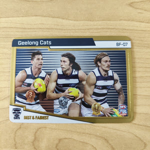 2022 Teamcoach Gold Best & Fairest Geelong BF-07