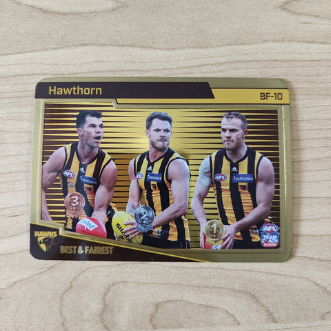 2022 Teamcoach Gold Best & Fairest Hawthorn BF-10