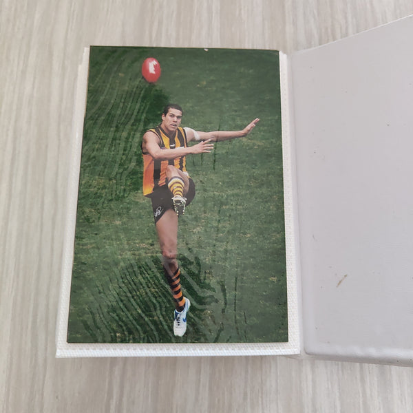 Collection of Hawthorn Football Club Autographed Photos