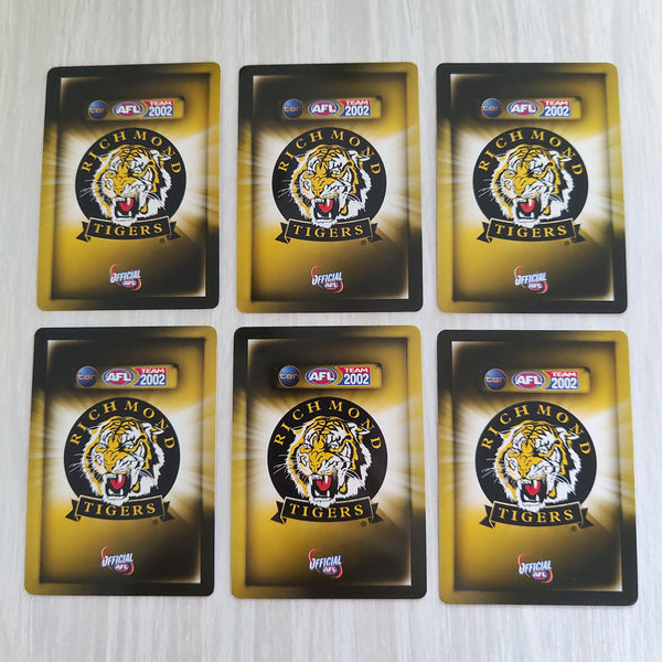 2002 Teamcoach Blue Prize Card Team Set Richmond