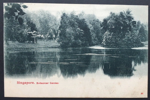 China- Incoming Mail. 1904 Singapore PPC To Shanghai