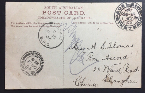 China- Shanghai Inwards 1905 PPC Adelaide/Hong Kong/BPO Shanghai Markings