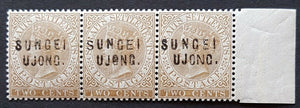 Sungei Ujong on Straits Settlements strip of 3 types SG 28- 30 mint. Certificate