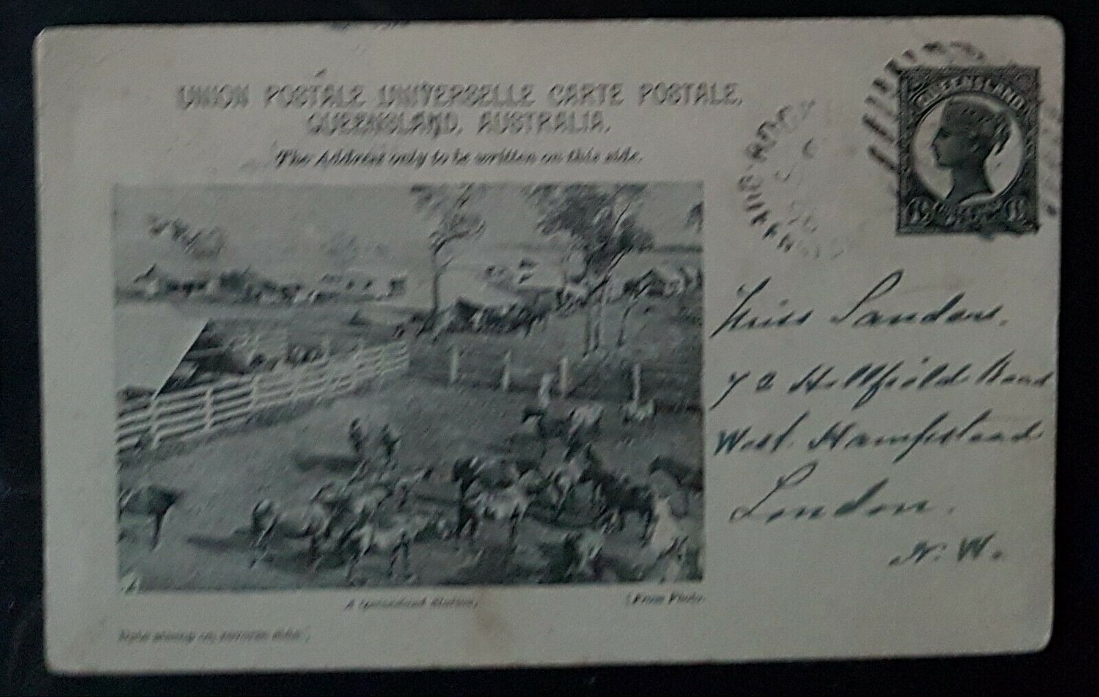 Queensland Post Card, 1½d a Queensland Station HG 11 used