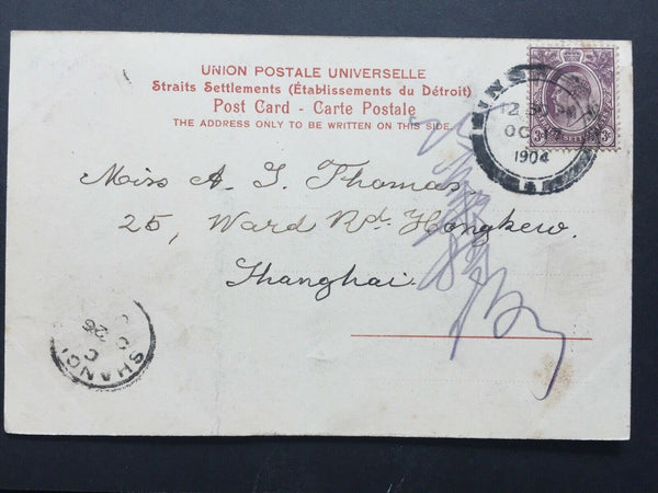 China- Incoming Mail. 1904 Singapore PPC To Shanghai