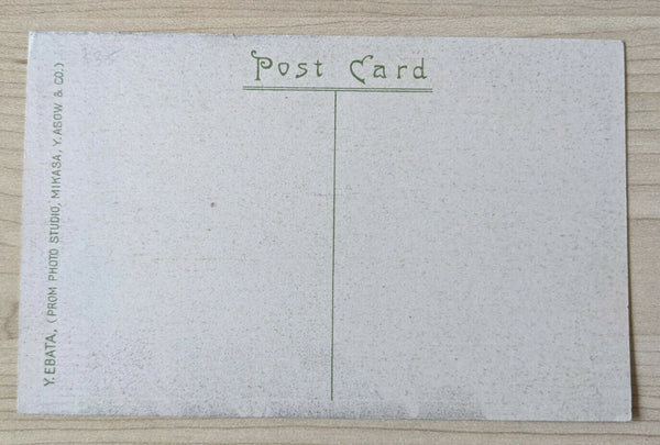 Thailand Postcard Cate of Wat Cheng Bangkok Mint