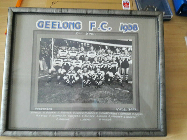 VFL 1938 Geelong Football Club Seconds, framed Team Photo