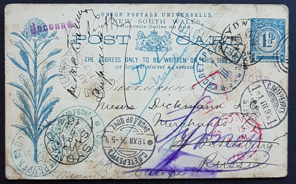 NSW - Russia 1½d Post Card. Unclaimed so returned to sender covered in postmarks