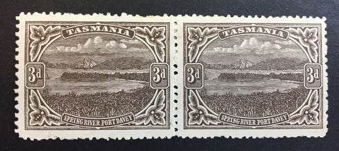 Tasmania Australian States SG 253 + 253c 3d brown pair MLH. Slight inkmarks.
