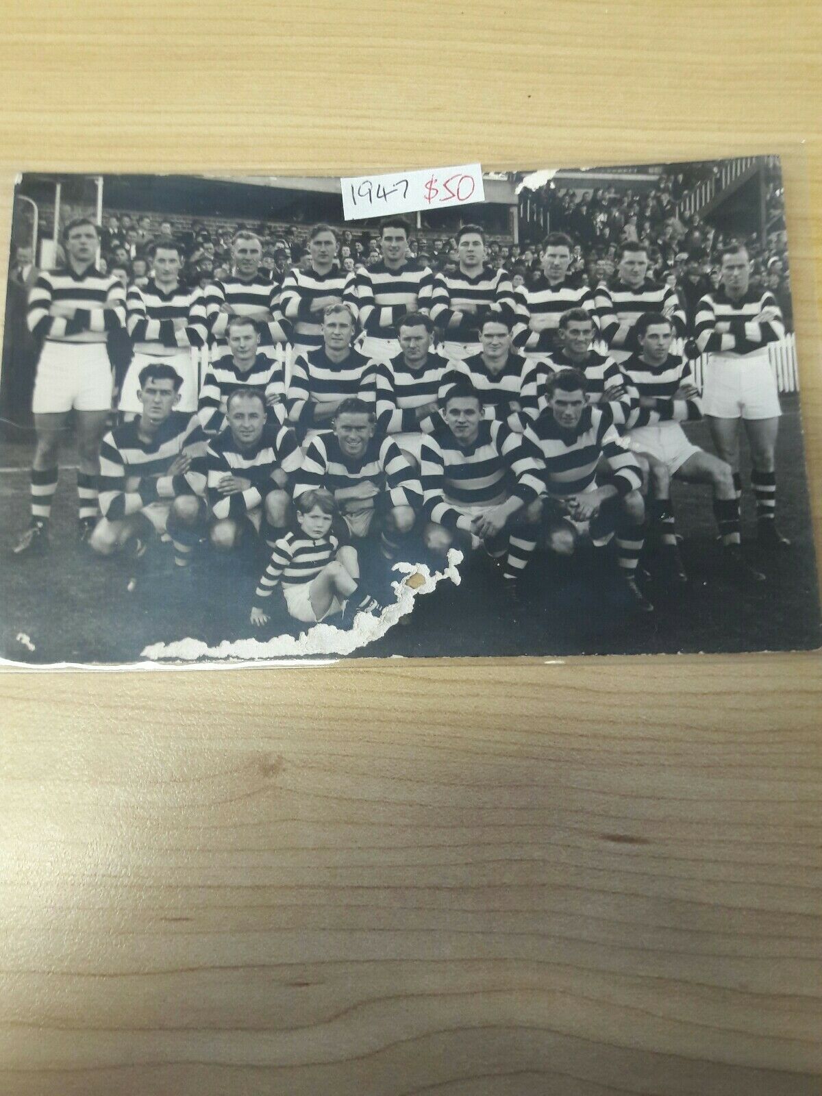 VFL 1947 Geelong Football Club Team Photo Postcard