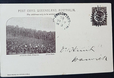 Queensland Post card, 1d  Arrowroot Field Pimpama PTPO Warwick Races HG 10a used