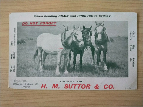 Australian Vintage Postcard H.M. Suttor & Co Grain and Produce Sydney Horses