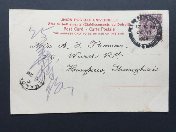 China- Incoming Mail. 1904 Singapore PPC To Shanghai