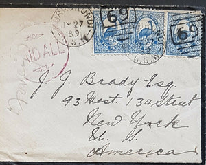 NSW - USA 3 X 2d Emu bird on mourning cover from Murrurundi Jy 27-1889"Paid All"