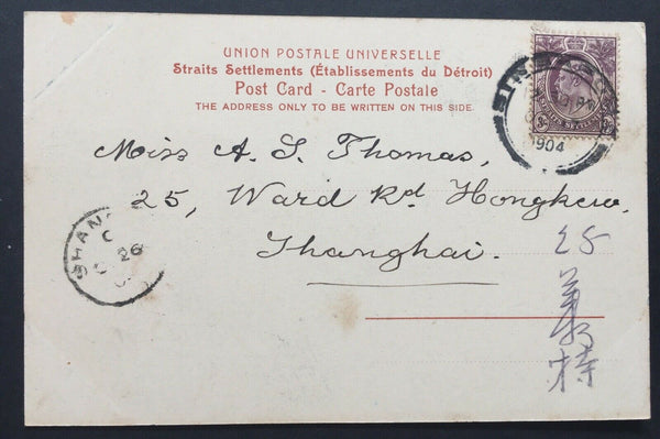 China- Incoming Mail. 1904 Singapore PPC To Shanghai